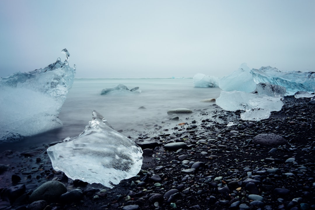 Photo Ice caps, weed